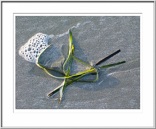 Image ID: 100-180-2 : Seagrass And Foam 
